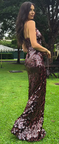 Sexy Sequin Party Dress