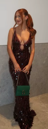 Sexy Sequin Party Dress